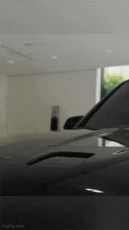 GIFparade CXXXV GP135_37 