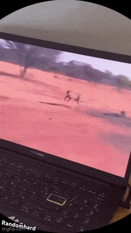 GIFparade CXXXV GP135_48 