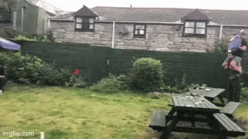 GIFparade CXXXV GP135_49 