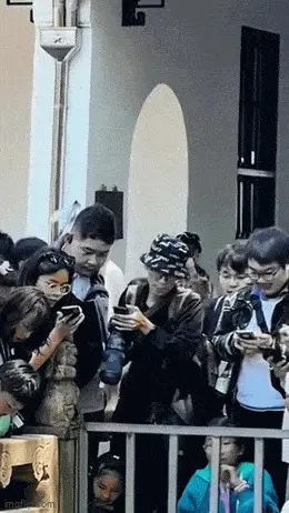 GIFparade CXXXV GP135_50 