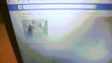 GIFparade CXXXV GP135_55 