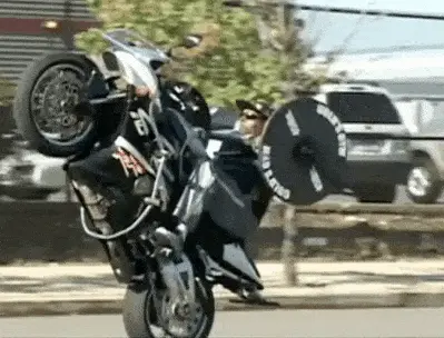 GIFparade CXXXV GP135_56 