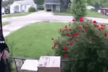 GIFparade CXXXIX GP139_19 