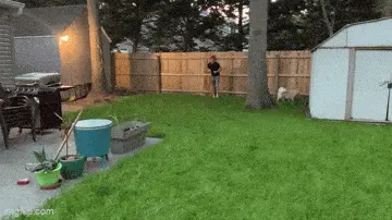 GIFparade CXXXIX GP139_22 