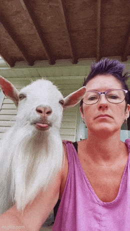 GIFparade CXXXIX GP139_27 