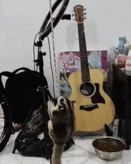 GIFparade CXXXIX GP139_39 