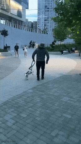 GIFparade CXXXIX GP139_41 