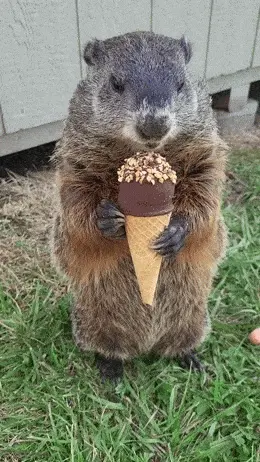 GIFparade CXXXIX GP139_43 