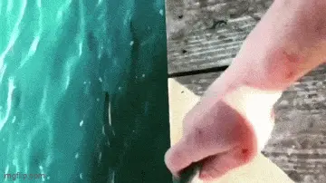 GIFparade CXL GP140_42 