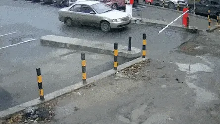 GIFparade CXL GP140_50 