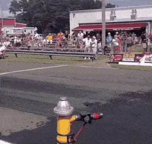 GIFparade CXLIV GP144_20 