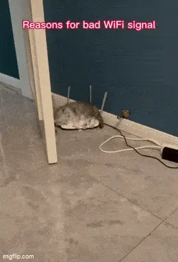 GIFparade CXLIV GP144_22 