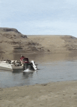 GIFparade CXLIV GP144_23 