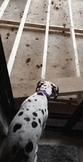 GIFparade CXLIV GP144_30 