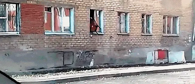 GIFparade CXLV GP145_15 