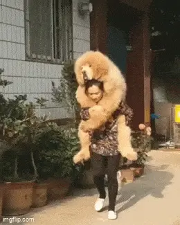 GIFparade CXLV GP145_40 