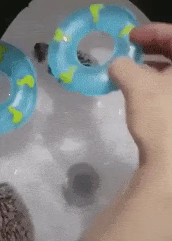 GIFparade CXLVI GP146_12 