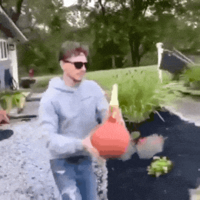 GIFparade CXLVI GP146_17 