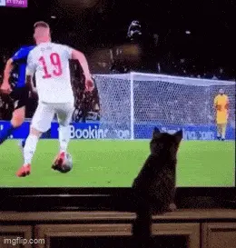 GIFparade CXLVI GP146_23 