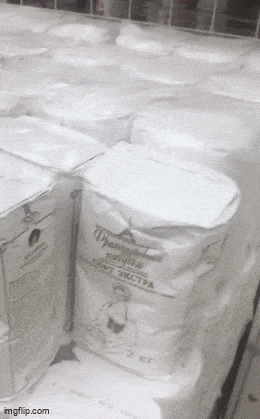 GIFparade CXLVI GP146_28 