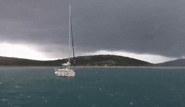 GIFparade CXLVI GP146_31 