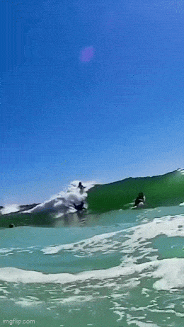 GIFparade CXLVI GP146_45 