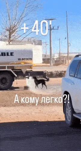 GIFparade CXLVI GP146_47 