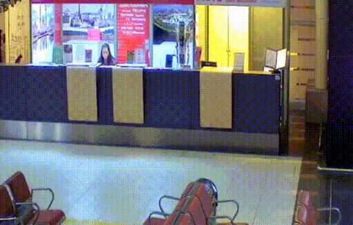 GIFparade CXLVI GP146_50 