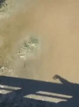 GIFparade CXLVII GP147_09 