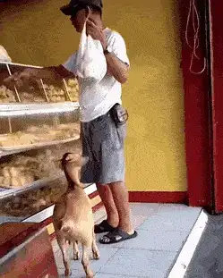 GIFparade CXLVII GP147_22 