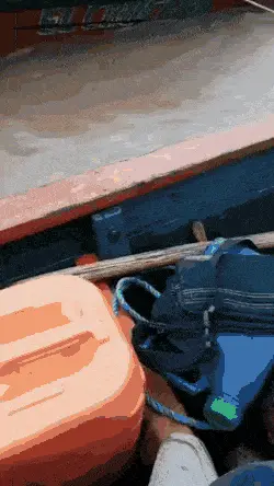 GIFparade CXLVII GP147_32 