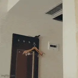 GIFparade CXLVII GP147_41