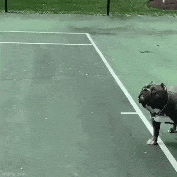 GIFparade CXLVIII GP148_02