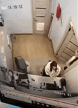 GIFparade CXLVIII GP148_04