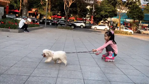 GIFparade CXLVIII GP148_19 