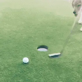 GIFparade CXLVIII GP148_24 