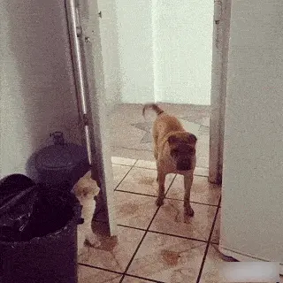 GIFparade CXLVIII GP148_26 