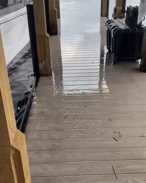 GIFparade CXLVIII GP148_44 