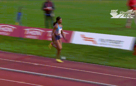 GIFparade CXLVIII GP148_49 