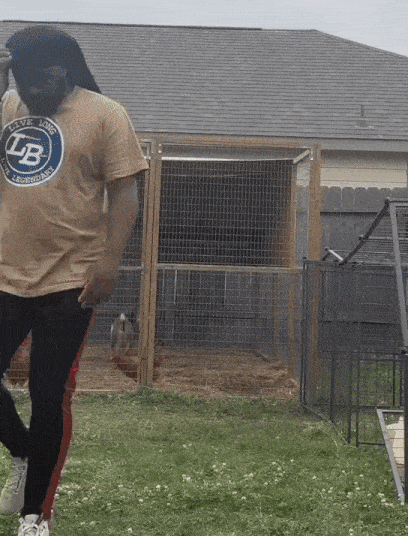 GIFparade CXLIX GP149_01 