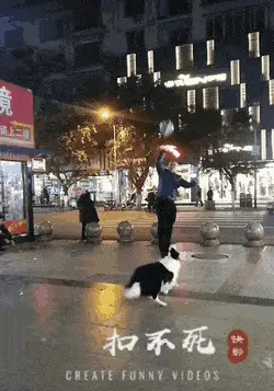 GIFparade CL GP150_16 