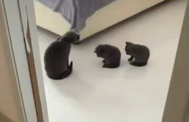 GIFparade CL GP150_23 