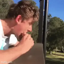 GIFparade CLI GP151_02 