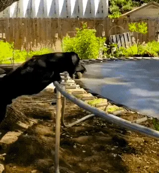 GIFparade CLI GP151_07 