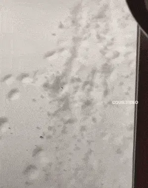 GIFparade CLI GP151_28 