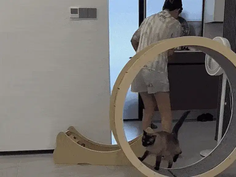 GIFparade CLI GP151_40 