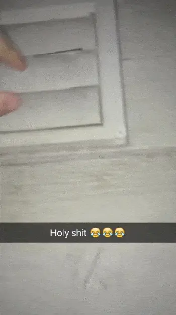 GIFparade CLI GP151_42 