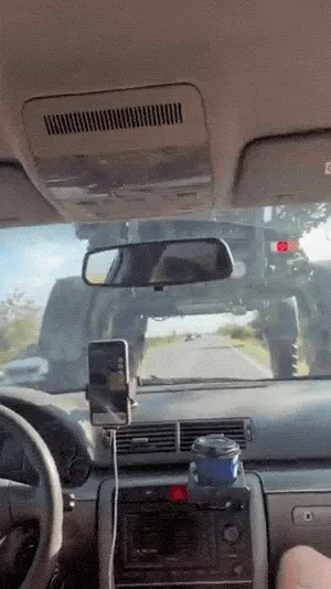 GIFparade CLI GP151_47 