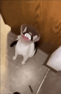 GIFparade CLI GP151_49 