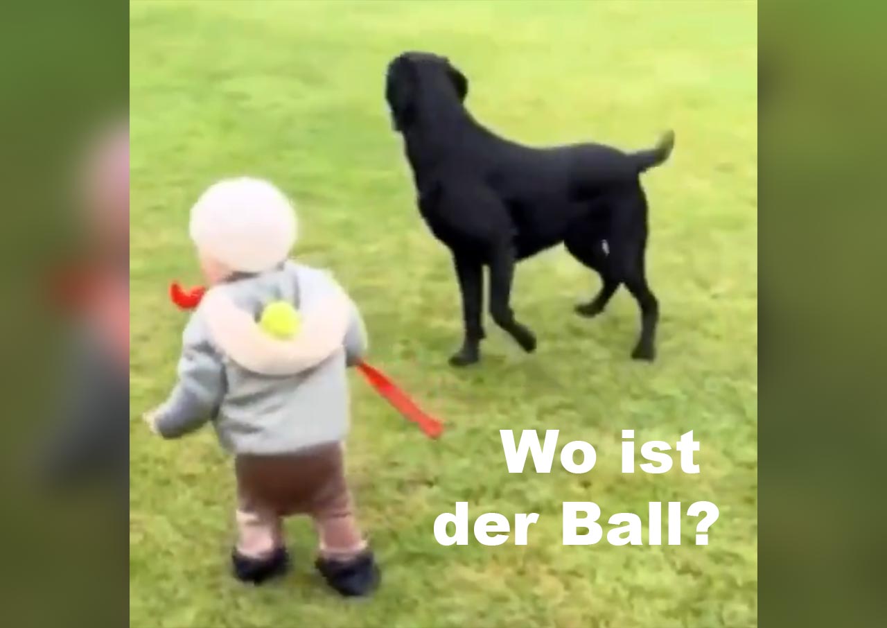 Montagsgefühle Nr. 499 montagsgefuehle-20250817